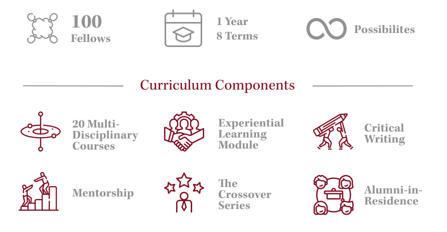 YIF Curriculum Structure