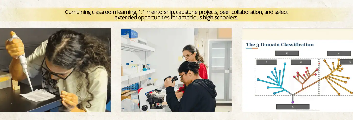 Past Cohort and Top 3 Course Achievers